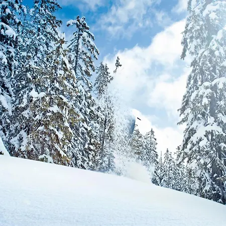 In Neukirchen Near Lifts, Cleaning Included * Neukirchen am Grossvenediger